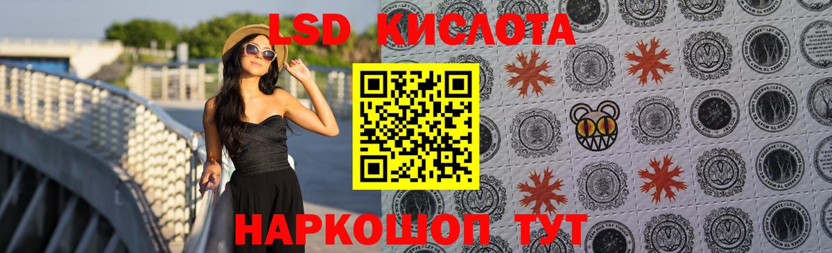 Курчатов  ЛСД экстази  ЛСД экстази ecstasy  Вход с VPN  Лсд 25 экстази ecstasy 