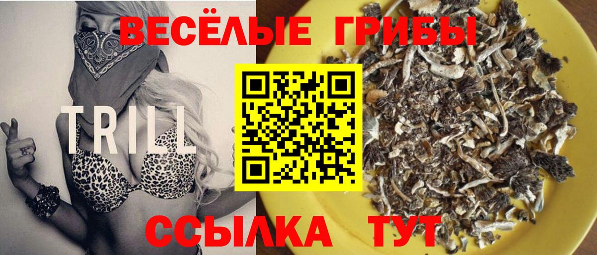Галлюциногенные грибы MAGIC MUSHROOMS Курчатов